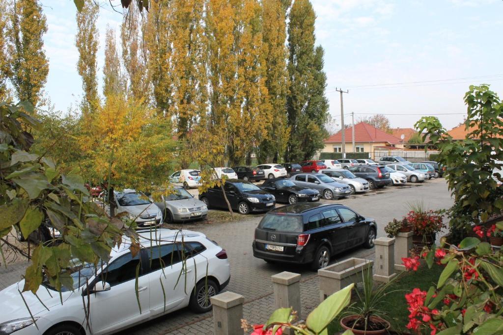 Bajor Panzio Bed & Breakfast Kecskemét Eksteriør bilde